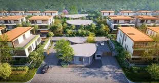 Why Wishki is great choice of Investors